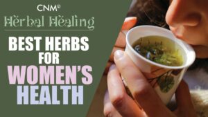 Read more about the article Medical Herbalist Explains: The Best Herbs for Women’s Health