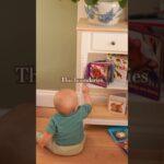 Gentle Parenting vs Permissive Parenting