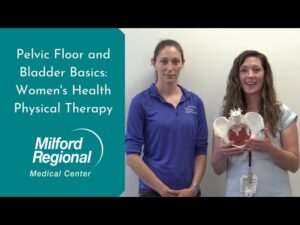 Read more about the article Pelvic Floor and Bladder Basics: Women’s Health Physical Therapy