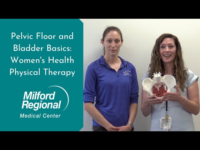 Read more about the article Pelvic Floor and Bladder Basics: Women’s Health Physical Therapy