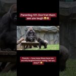 Every parent knows the rule:never let them see you laugh