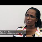 Development organisations facilitating women’s access to finance